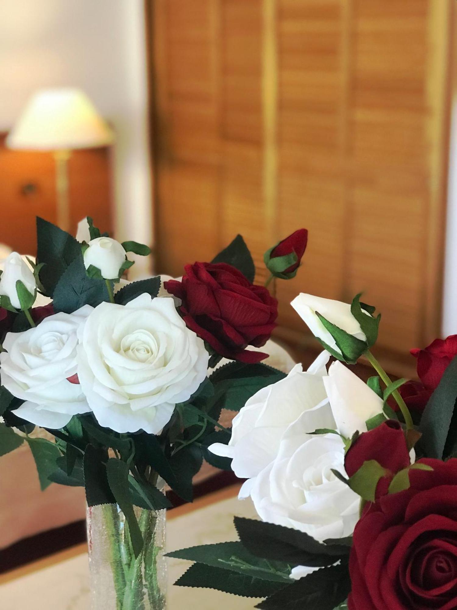Chateau Linza Resort Tiranë Luaran gambar