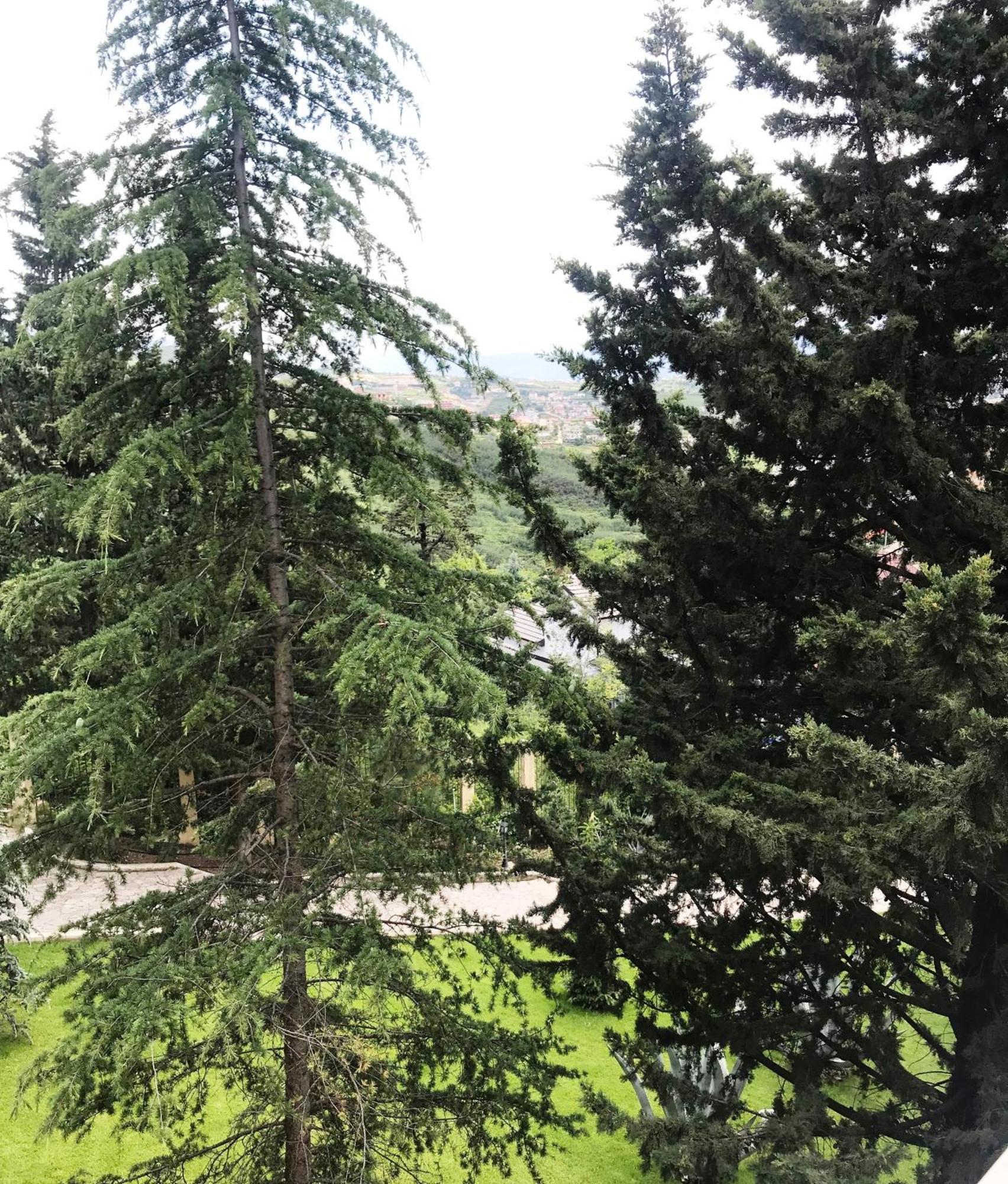 Chateau Linza Resort Tiranë Luaran gambar